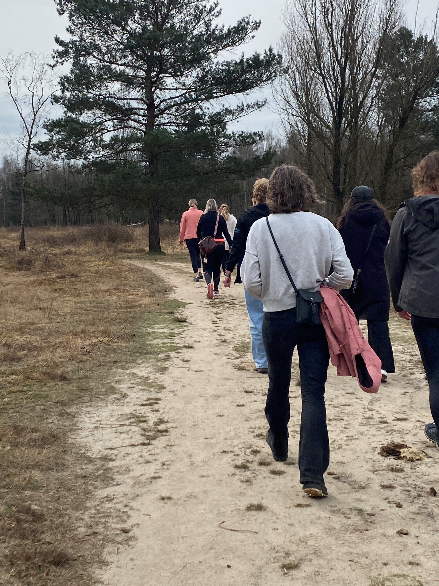 5 2 | Activiteiten | Bos & Co - Oosterhout