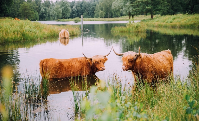 Natuurpoort | Bos & Co - Oosterhout